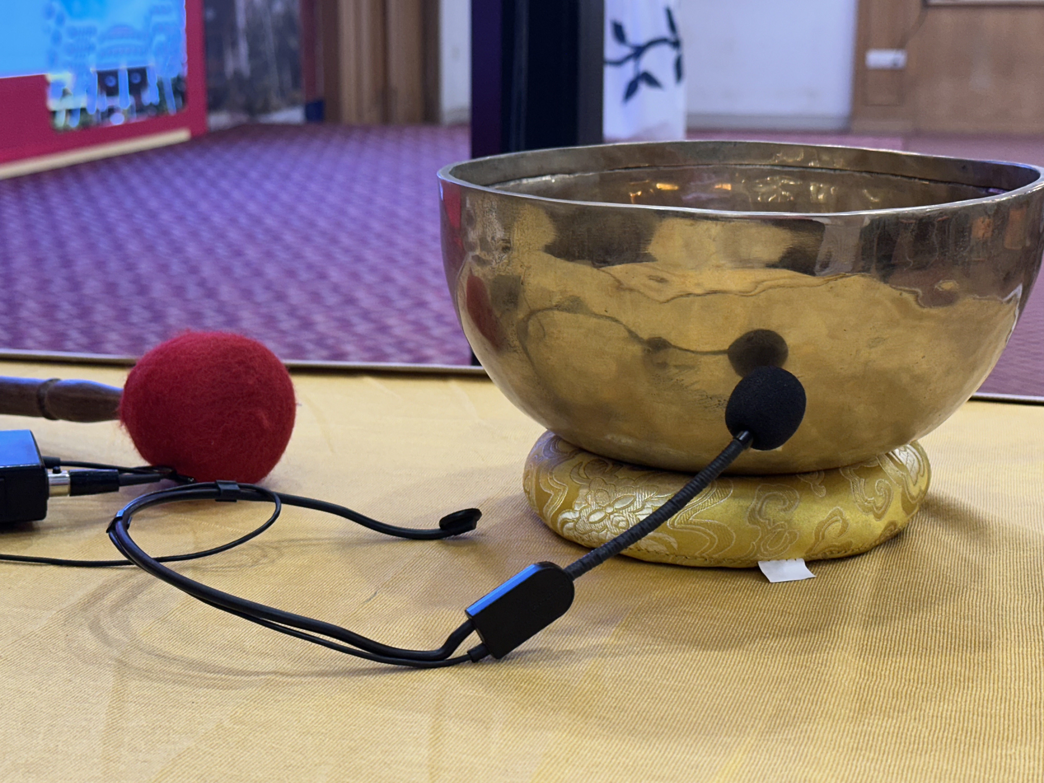 Sound Therapy